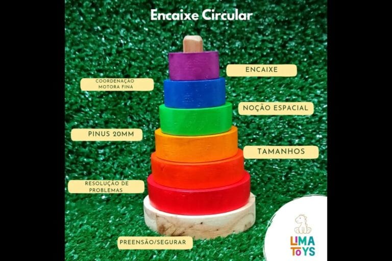 Brinquedos Que Ensinam — e Que Conectam